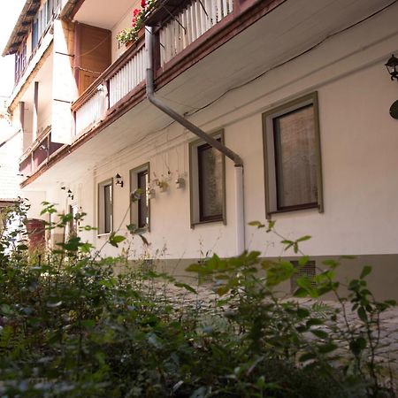 Seek And Hide - Little Julia'S Hideaway Braşov Extérieur photo