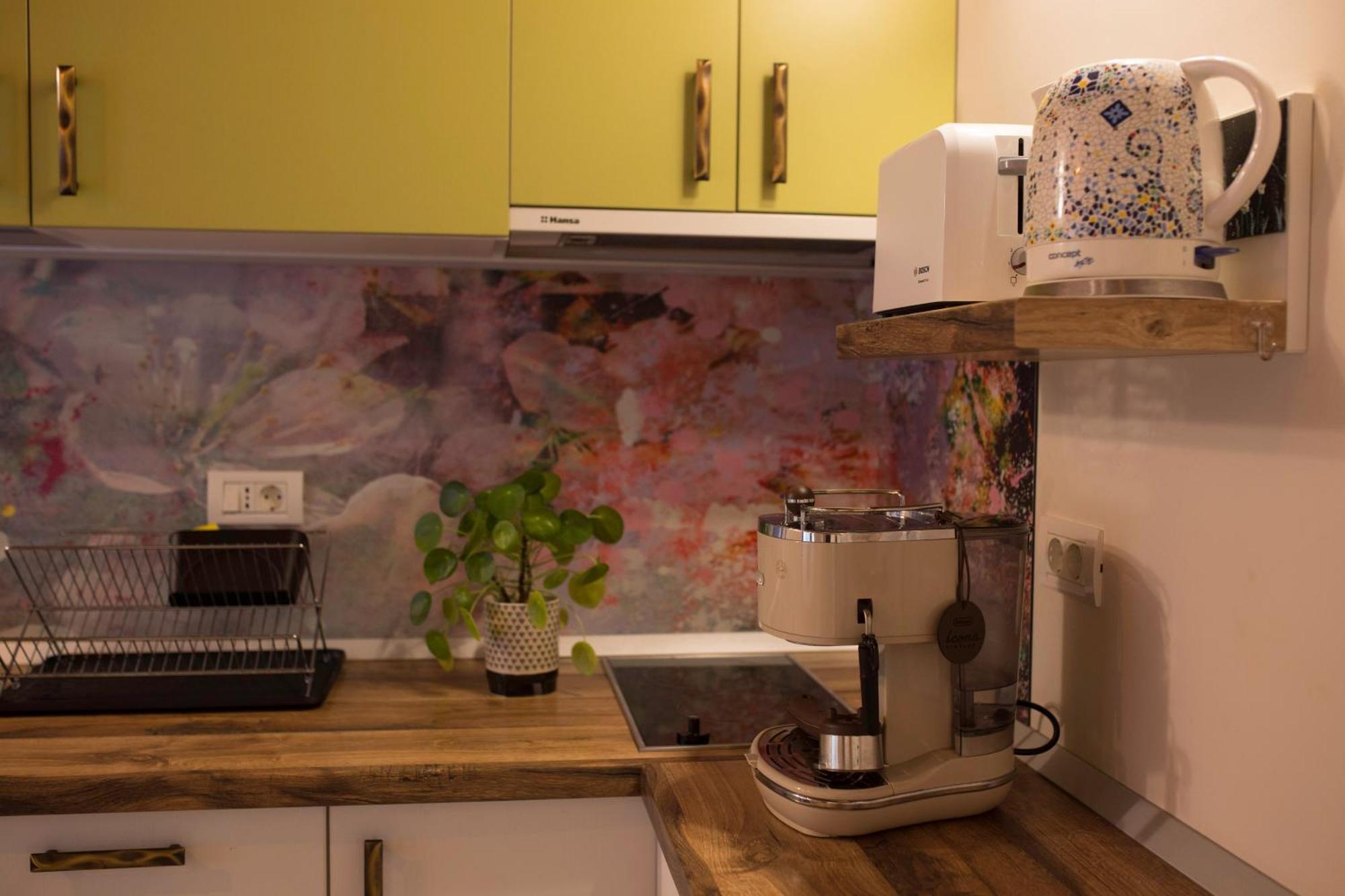 Seek And Hide - Little Julia'S Hideaway Braşov Extérieur photo